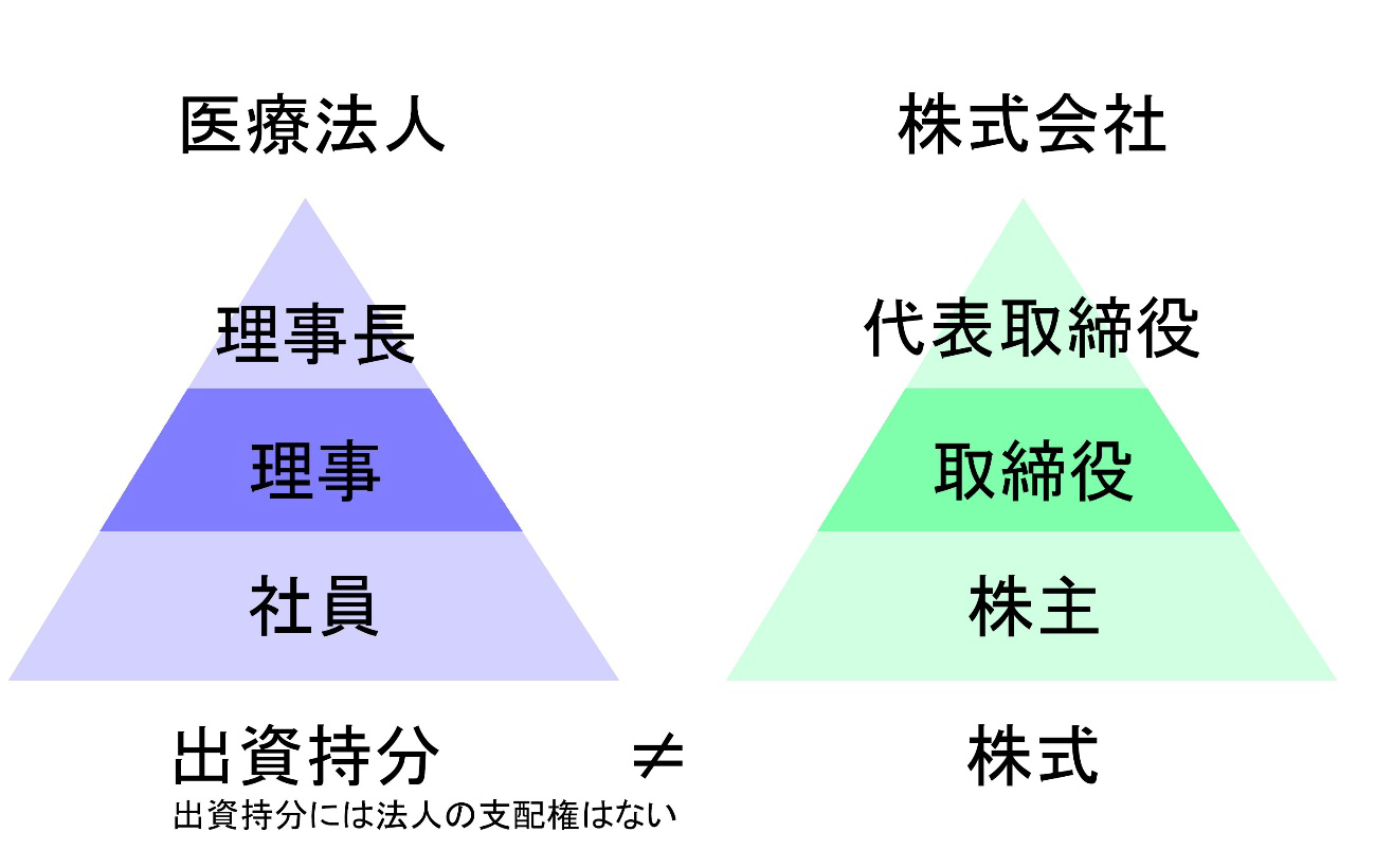 出資持分と株式の違いのイラスト